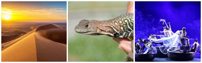 tour-phan-thiet-mui-ne--trai-dong-3n2d_2