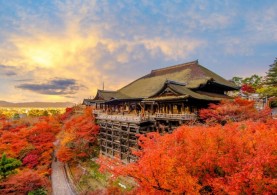 NHẬT CUNG ĐƯỜNG VÀNG 6N5Đ