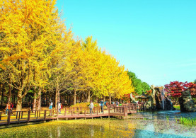 SEOUL - NAMI - EVERLAND BAY VJ